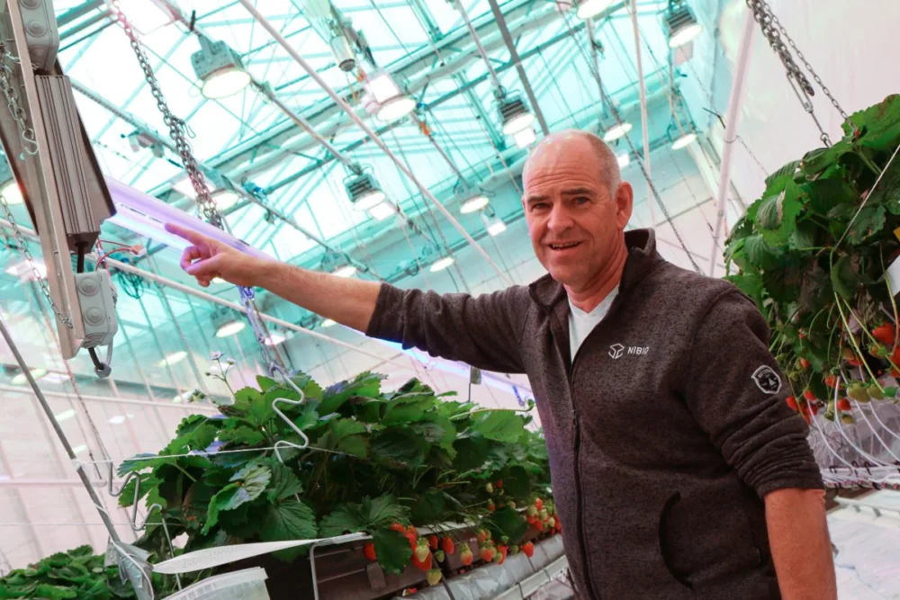 Hva vi laget for Nibio