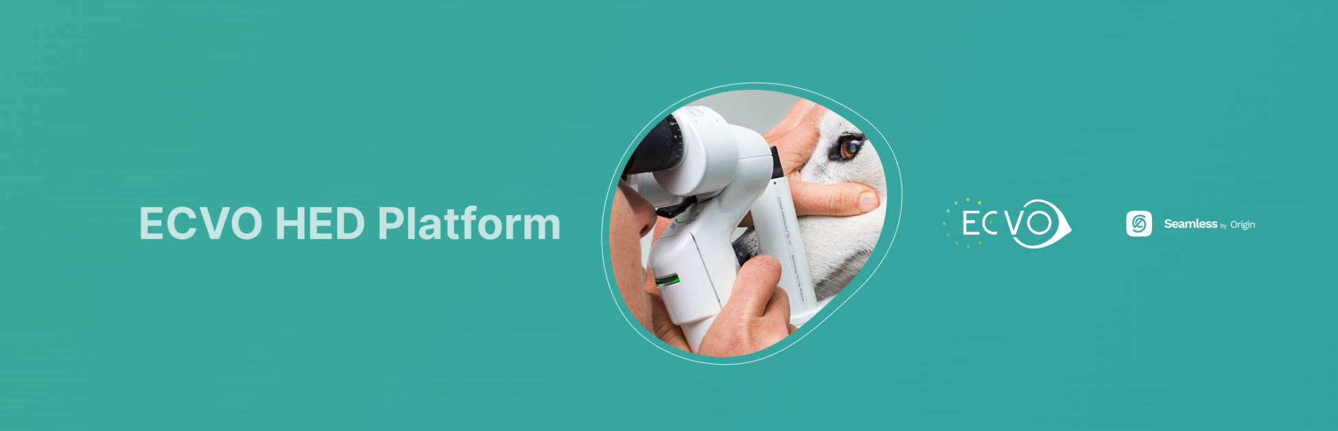 Ecvo hero